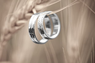 photography of shallow focus silver band rings shot